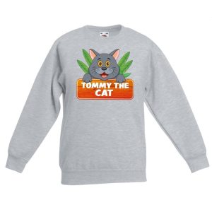 Katten dieren sweater grijs voor kinderen