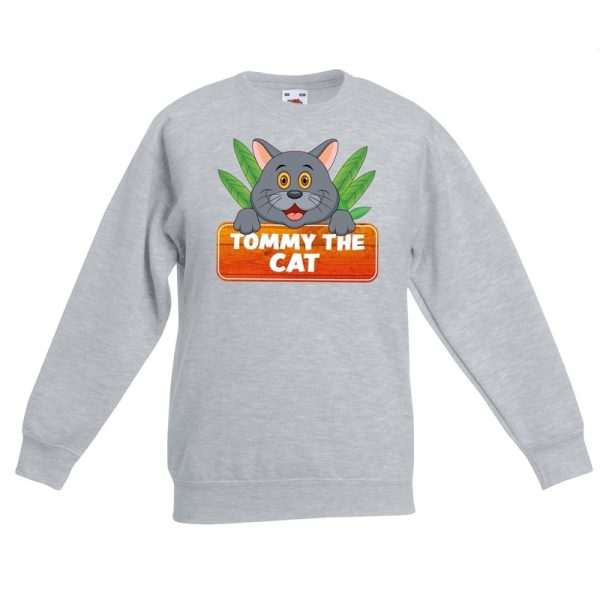 Katten dieren sweater grijs voor kinderen