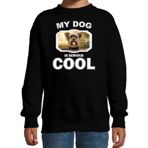Honden liefhebber trui / sweater Yorkshire terrier my dog is serious cool zwart voor kinderen