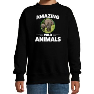 Sweater olifanten amazing wild animals - dieren - trui - zwart - kinderen