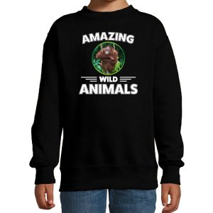 Sweater orangutans are serious cool zwart kinderen - orang oetan apen/ aap trui