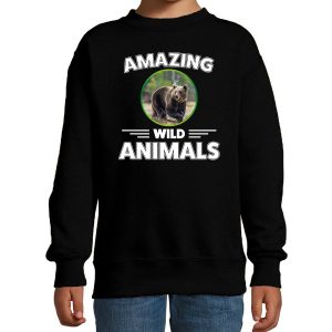 Sweater bears are serious cool zwart kinderen - beren/ beer trui