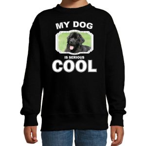 Honden liefhebber trui / sweater Newfoundlander my dog is serious cool zwart voor kinderen